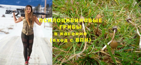 трава Абинск