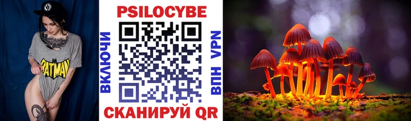 где продают наркотики  Нефтегорск  blacksprut вход  Псилоцибиновые грибы Magic Shrooms 